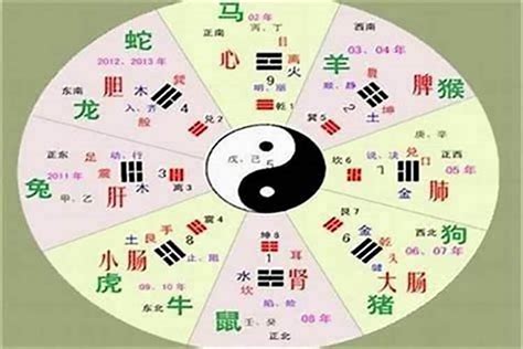 安五行屬性|安字的五行属性